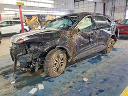 Ford Escape salvage cars for sale: 2022 Ford Escape sel