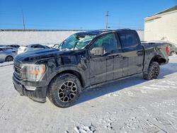 Ford salvage cars for sale: 2023 Ford F150 Supercrew