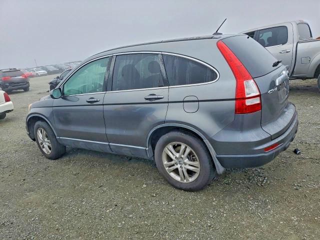 2010 Honda Cr-v exl