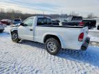 2004 Dodge Dakota SXT