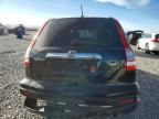 2011 Honda Cr-v exl