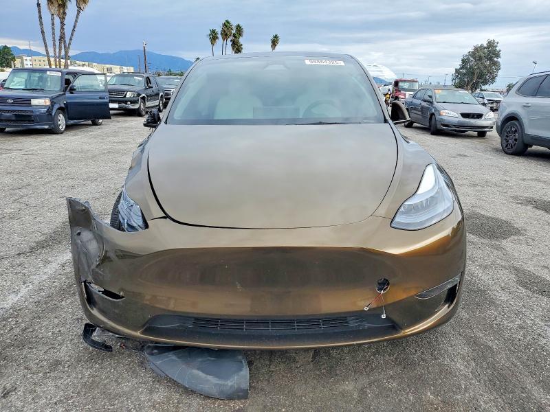 2025 Tesla Model y