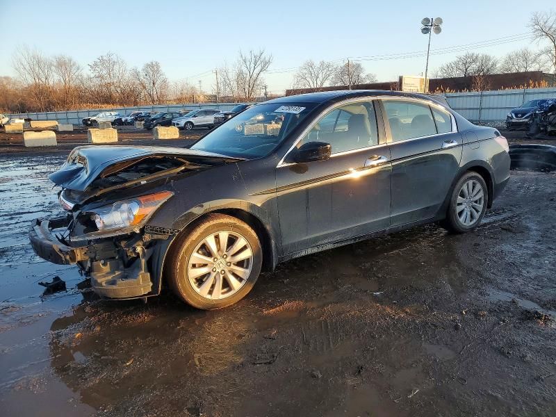 2011 Honda Accord exl