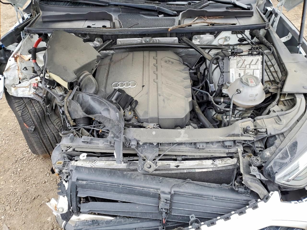 2022 Audi Q5 Premium Plus 45