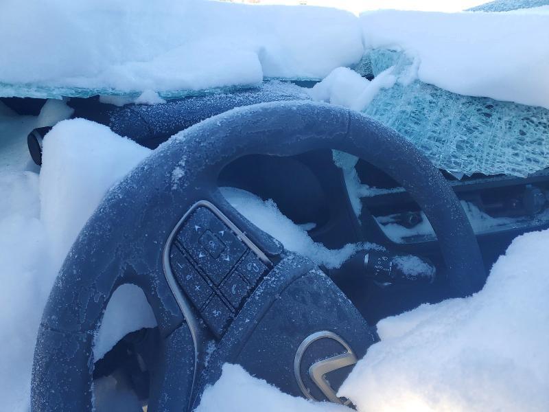 2025 Lexus Ux 300h Base