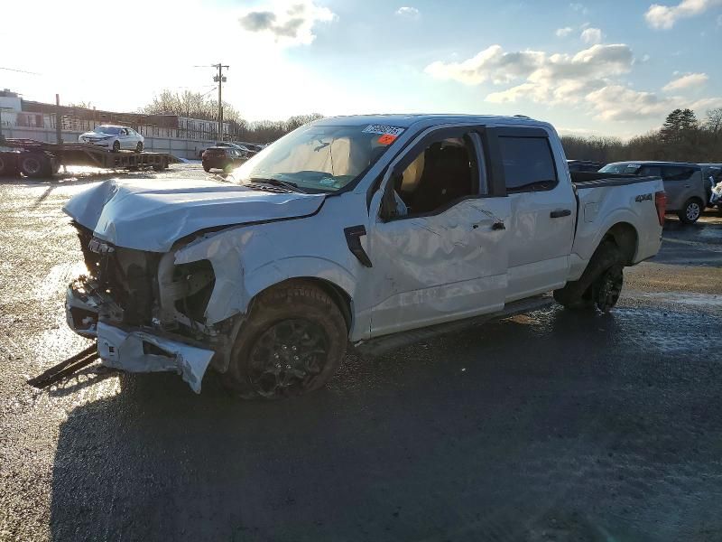 2025 Ford F150 stx
