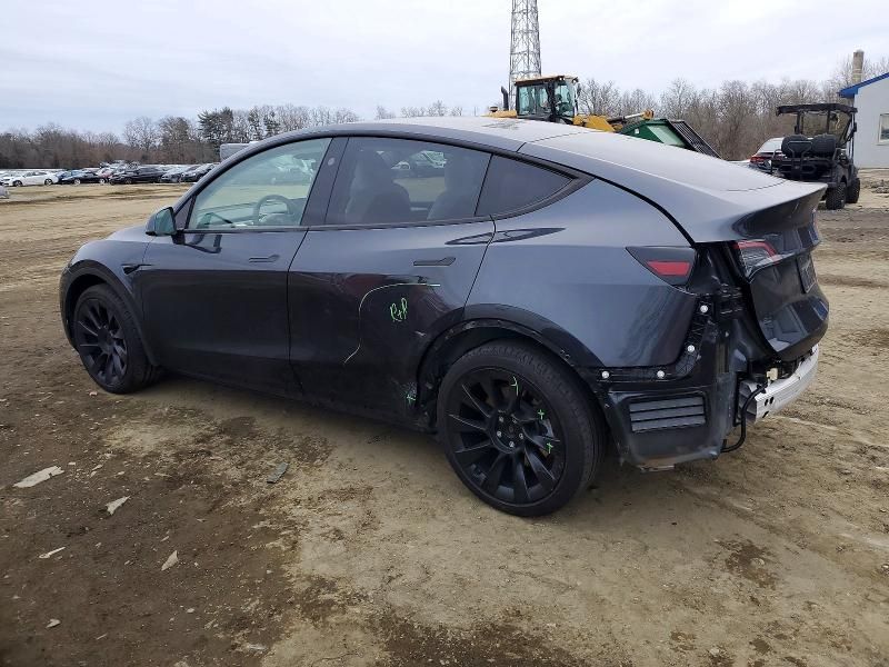2024 Tesla Model y