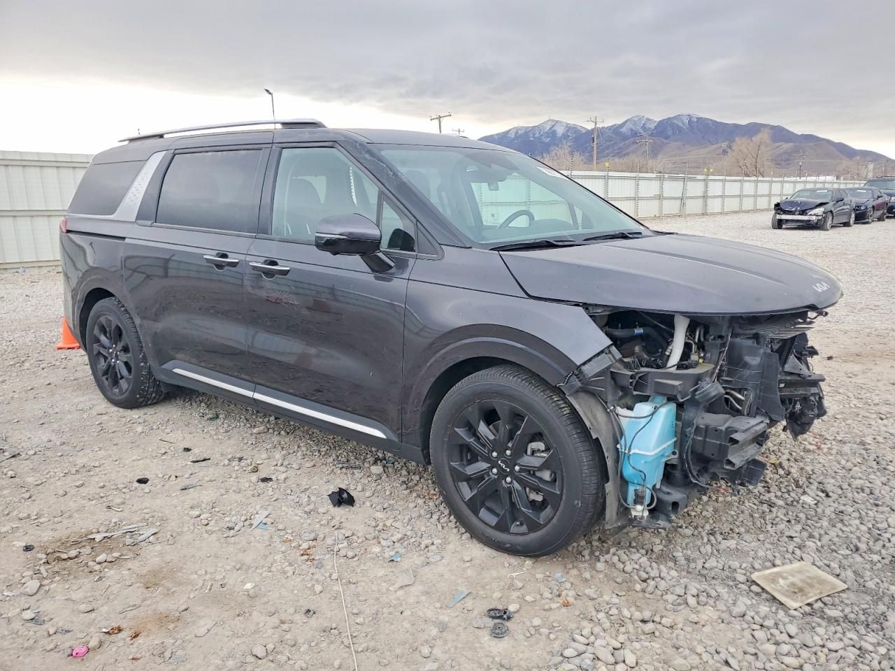 2023 KIA Carnival sx