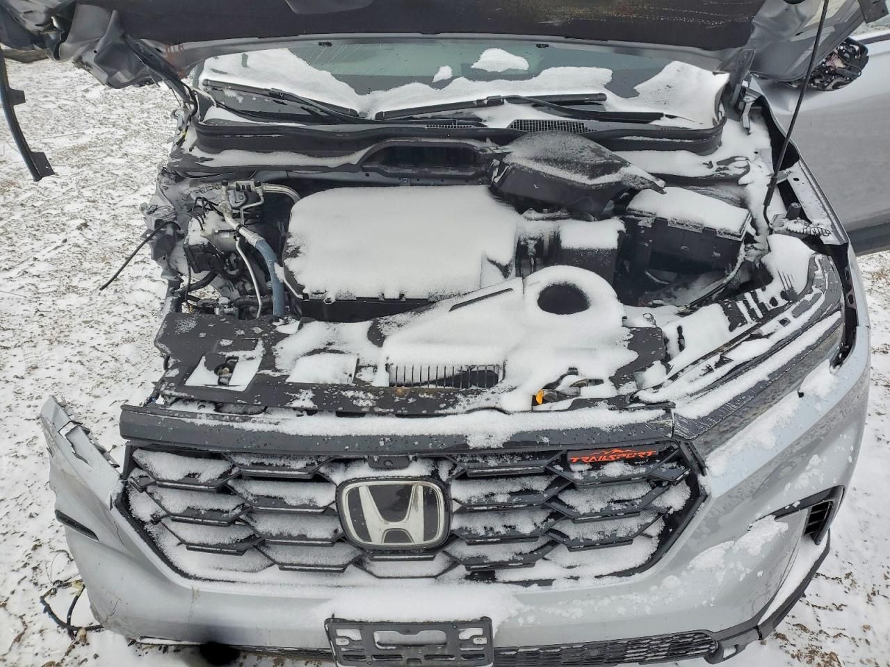 2025 Honda Pilot Trailsport