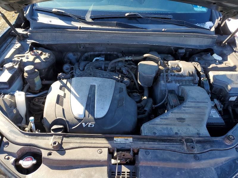 2010 Hyundai Santa fe se