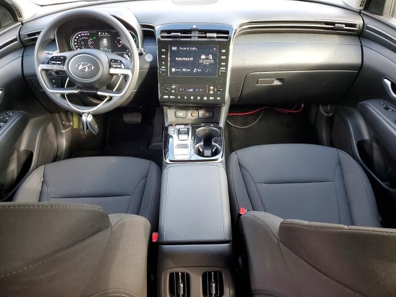 2023 Hyundai Tucson Blue