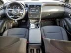 2023 Hyundai Tucson Blue