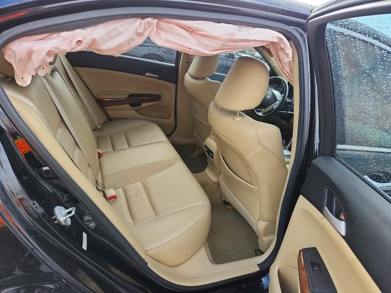 2011 Honda Accord exl