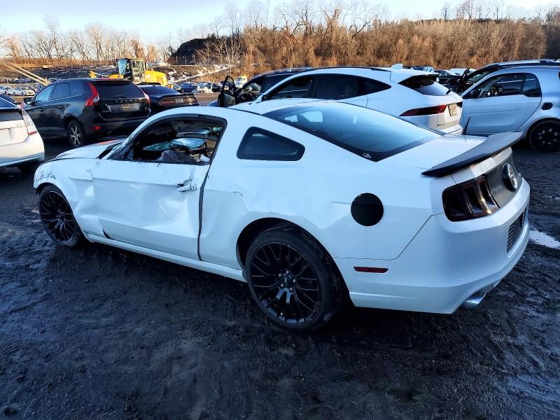 2013 Ford Mustang