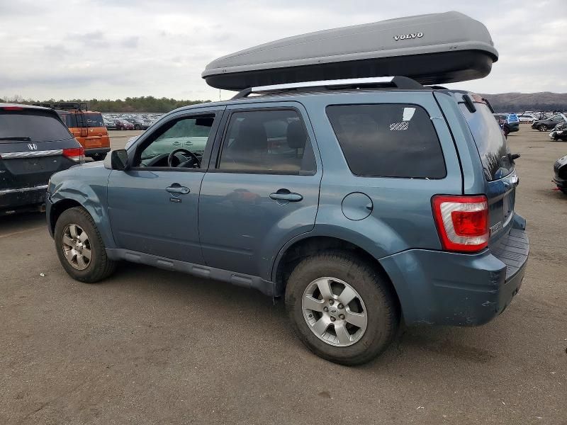 2010 Ford Escape Limited