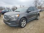 2019 Ford Edge se