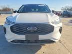 2023 Ford Escape st Line
