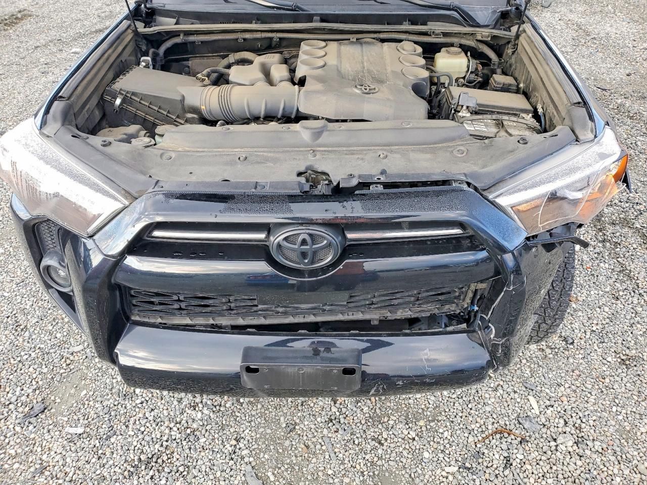2021 Toyota 4runner Sr5/sr5 Premium