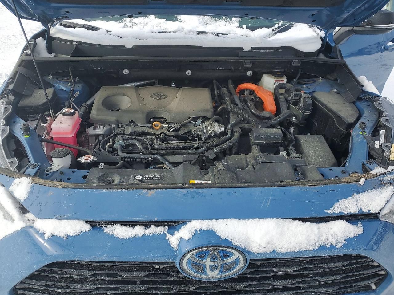 2024 Toyota Rav4 xse