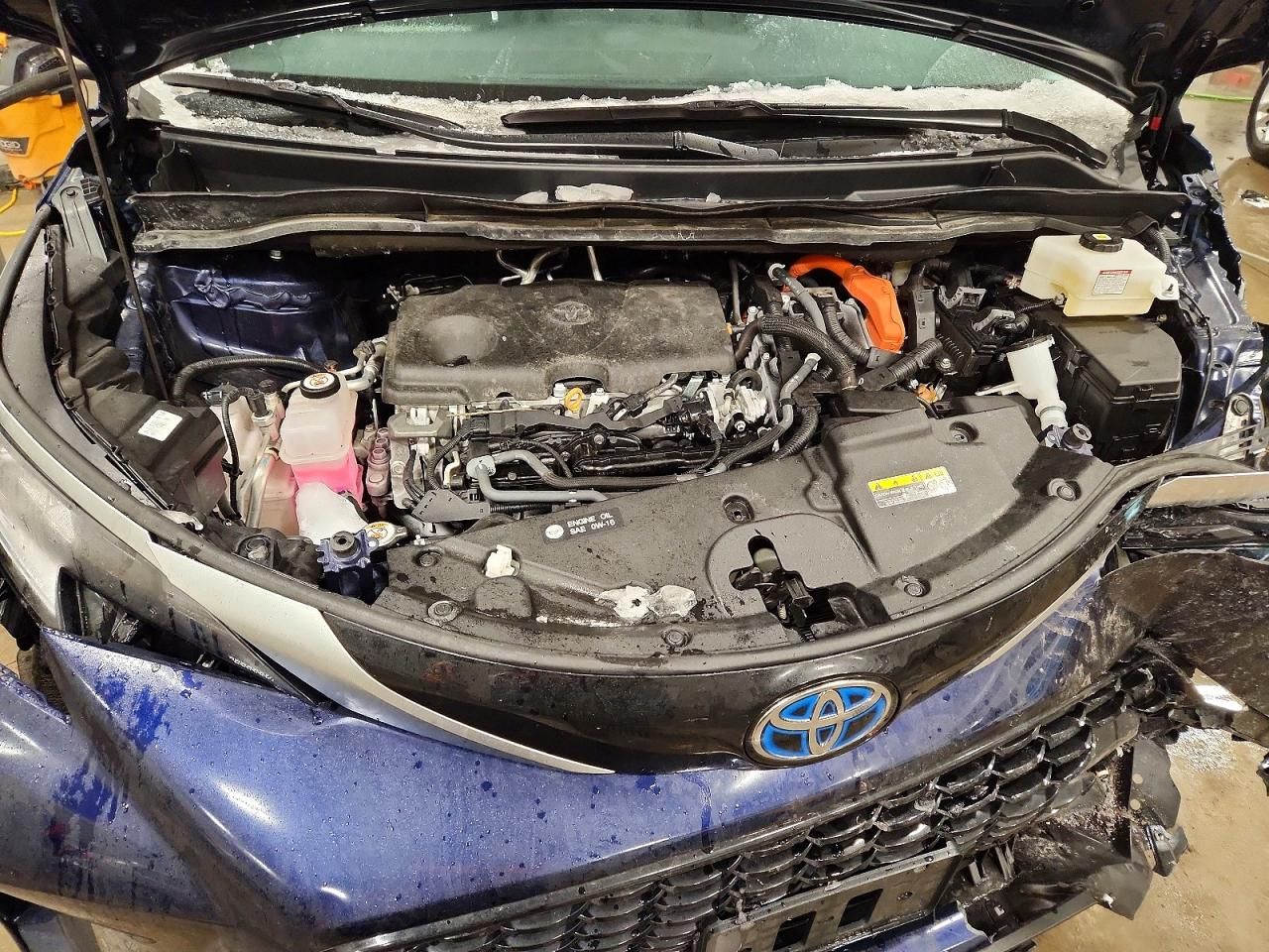 2024 Toyota Sienna xse