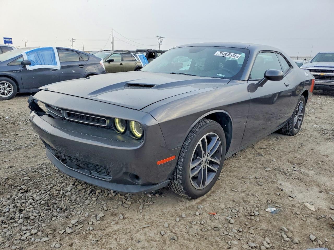 2019 Dodge Challenger sxt