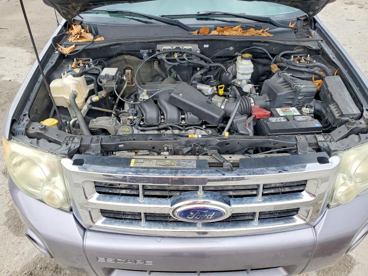 2008 Ford Escape xlt