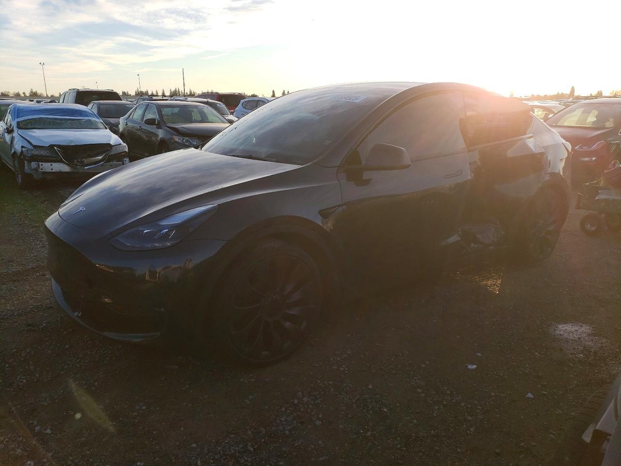 2024 Tesla Model y