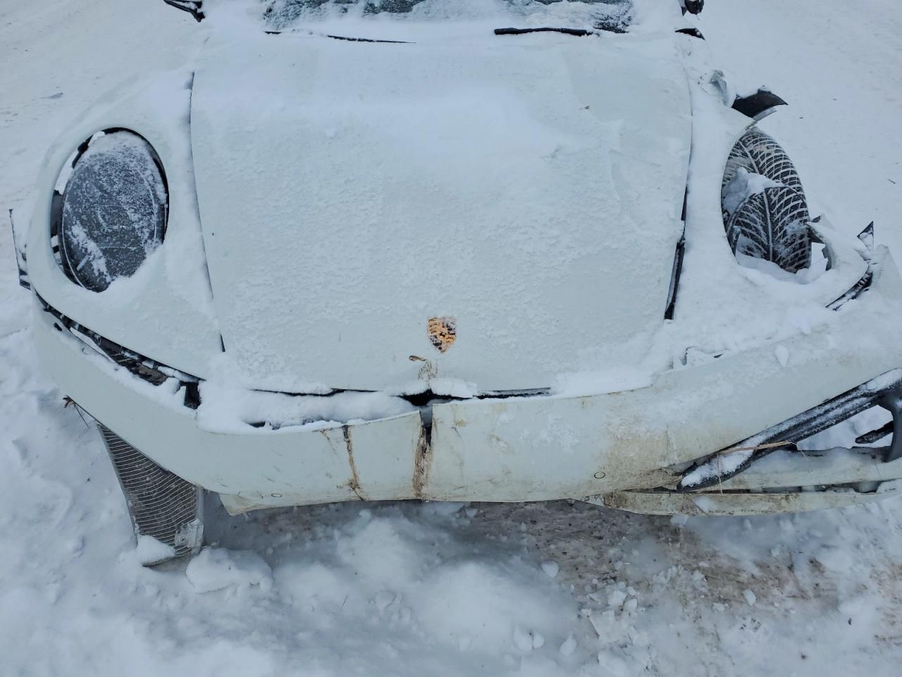 2024 Porsche 911 Carrera