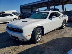 Dodge salvage cars for sale: 2019 Dodge Challenger sxt