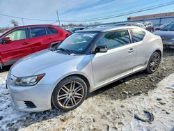 Scion salvage cars for sale: 2013 Scion TC