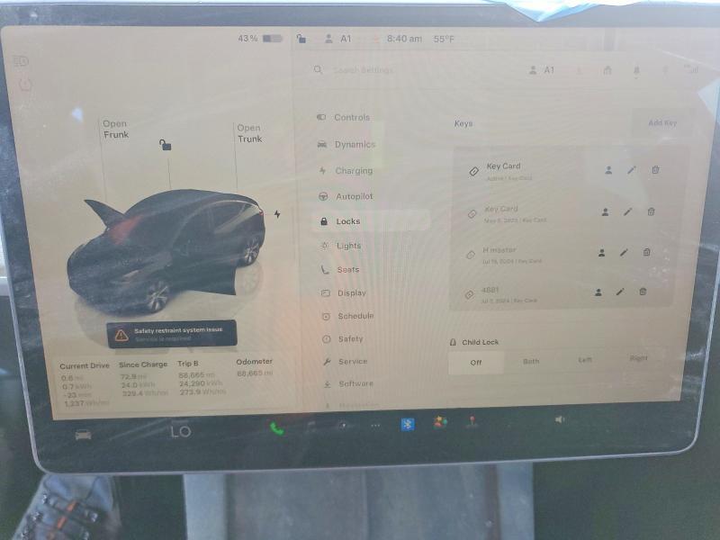 2023 Tesla Model y