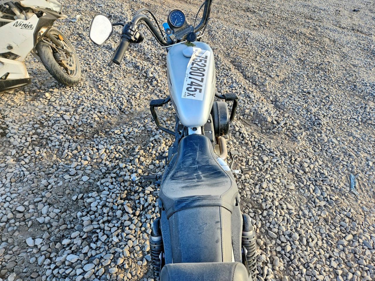 2020 Harley-Davidson XL1200 NS