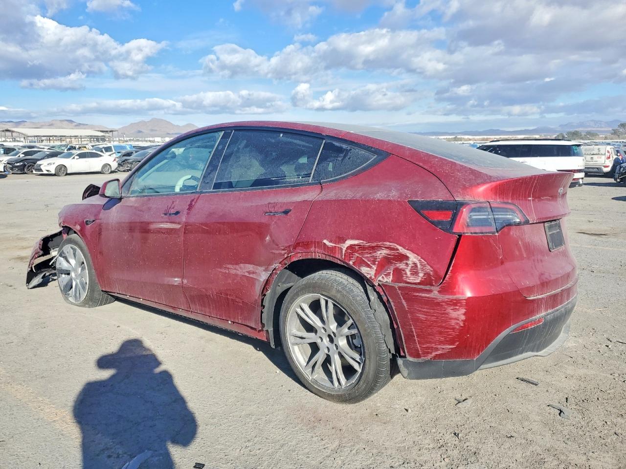 2024 Tesla Model y