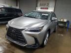 2024 Lexus Nx 350 Luxury