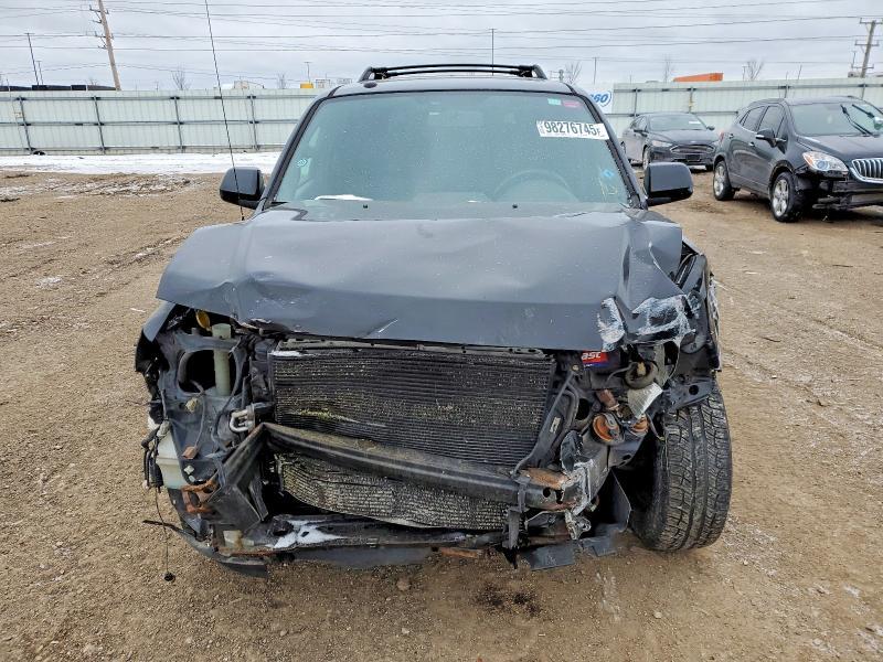 2009 Ford Escape Limited