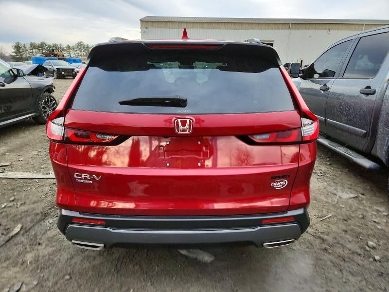 2025 Honda Cr-v Sport