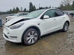 Tesla Model y salvage cars for sale: 2023 Tesla Model y