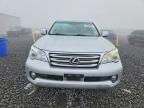2011 Lexus Gx 460