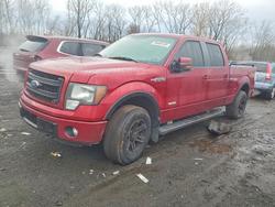 Salvage trucks for sale at New Britain, CT auction: 2013 Ford F150 Supercrew