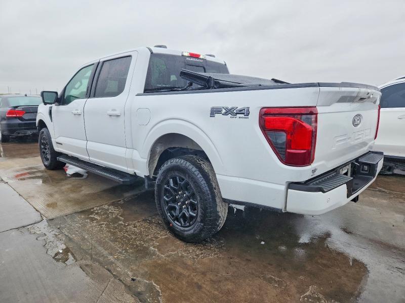 2024 Ford F150 xlt