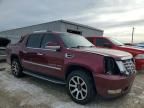 2008 Cadillac Escalade ext