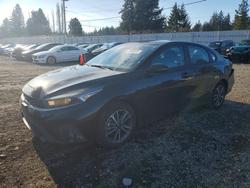 KIA Forte salvage cars for sale: 2023 KIA Forte lx