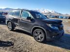 2019 Honda Passport exl