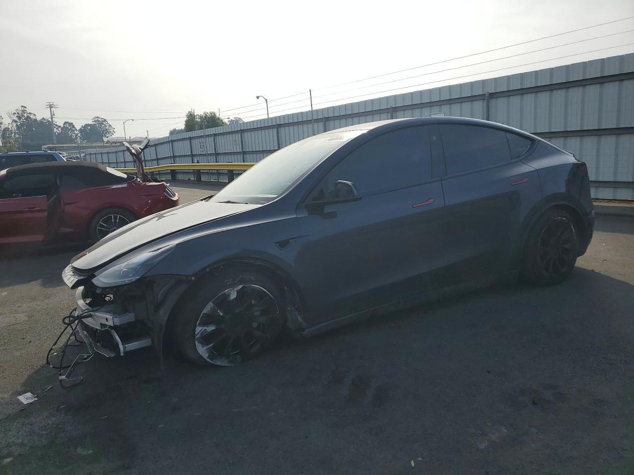 2025 Tesla Model y