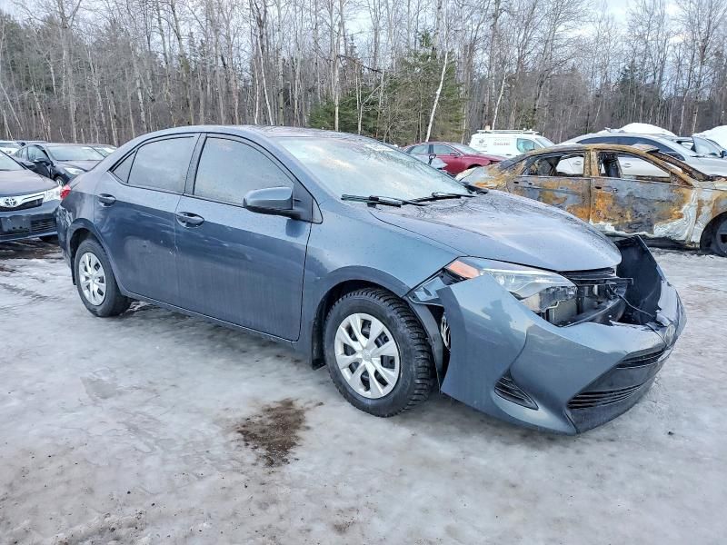 2019 Toyota Corolla l