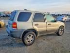 2003 Ford Escape xlt