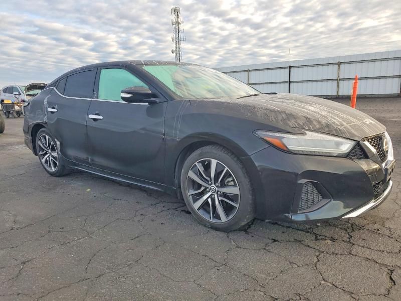 2019 Nissan Maxima