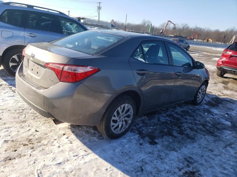 2019 Toyota Corolla l