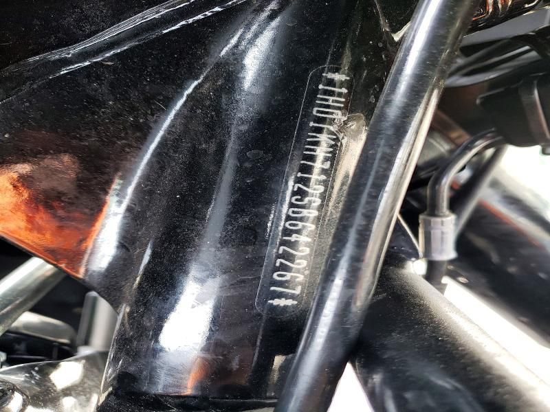 2025 Harley-Davidson Fltrx