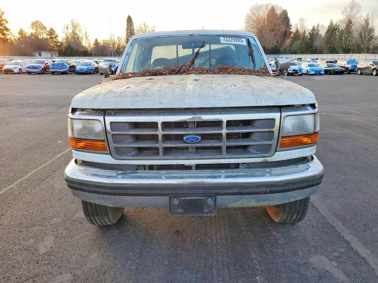 1993 Ford F250